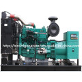 50kw Biogas / Metane Gas Power Generator Sets